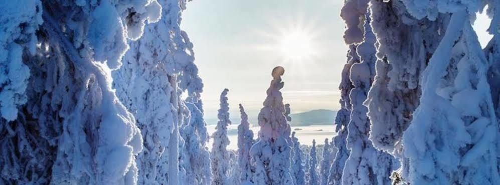 Suomu Chalets Suomutunturi Exteriér fotografie